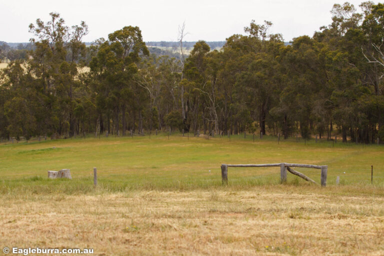 Our farm paddocks and outlook