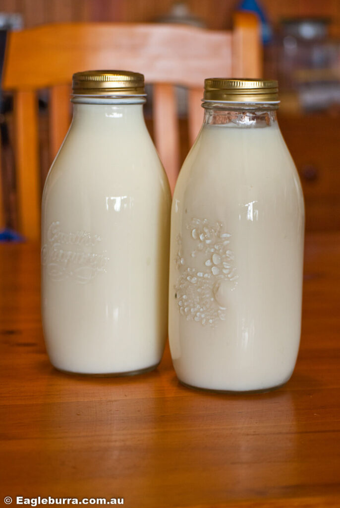 Fresh Jersey Milk