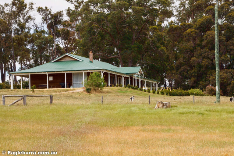 Eagleburra homestead on the hill