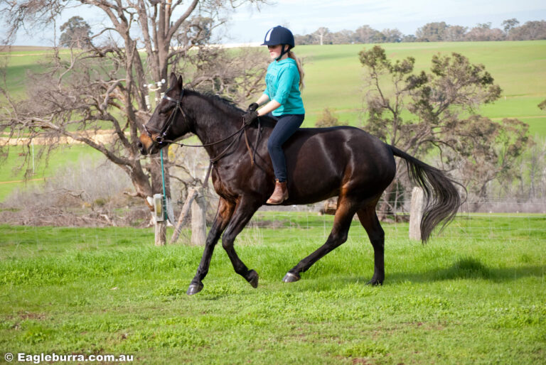 Miss B riding Sandy