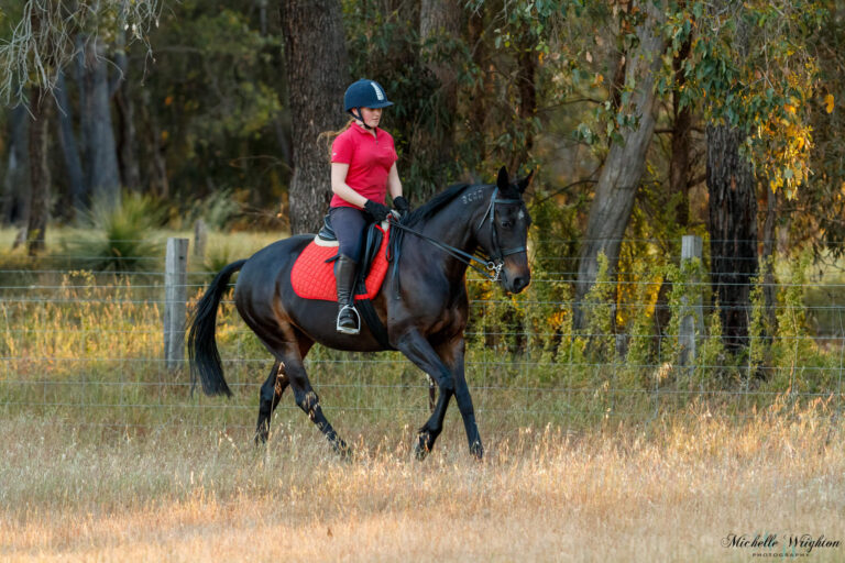 Miss B riding and Jumping with Sandy