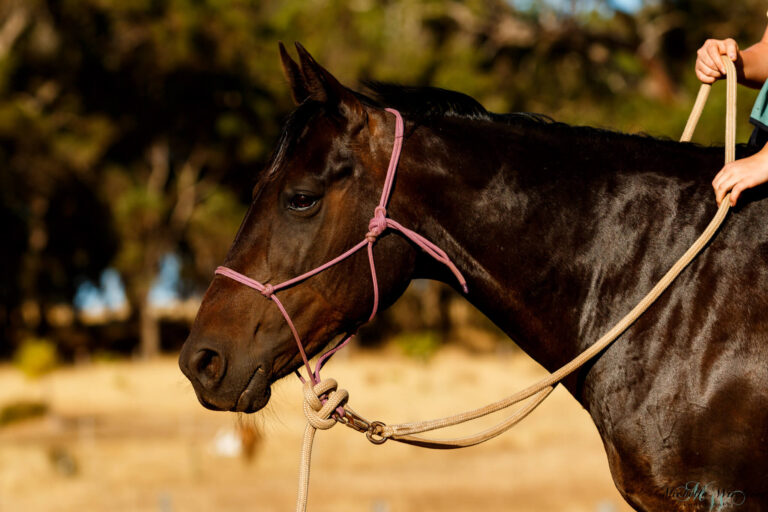 Miss B riding Sandy