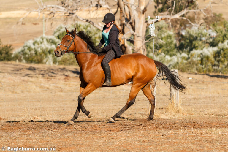 Miss B riding bareback with Wilson