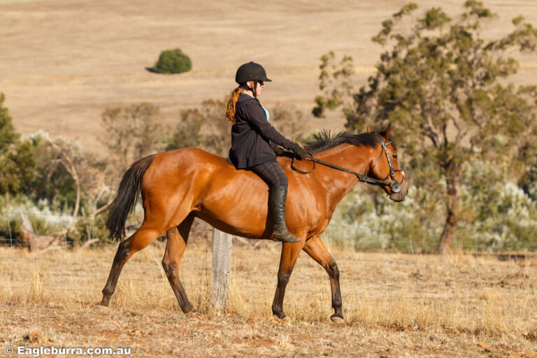 Miss B riding bareback with Wilson