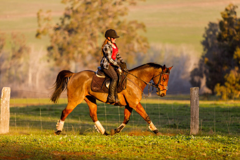 Miss B riding with Wilson