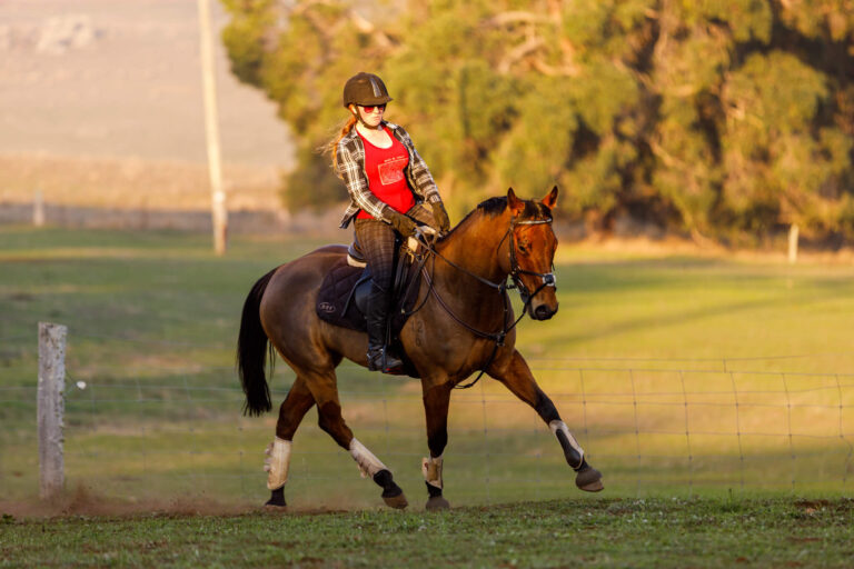 Miss B riding with Wilson