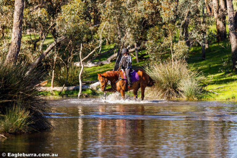 Miss B riding Flame in the dam