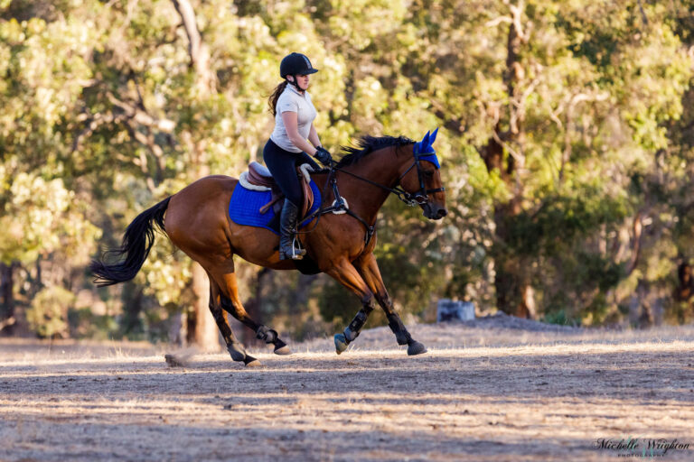 Miss B riding and jumping with Wilson