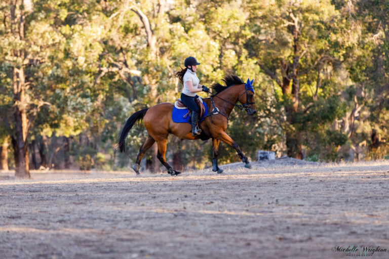 Miss B riding and jumping with Wilson