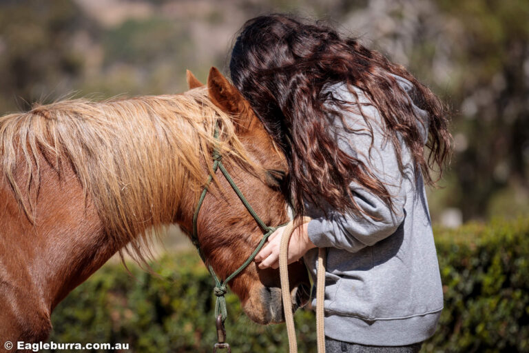 Raj Pony with Miss B