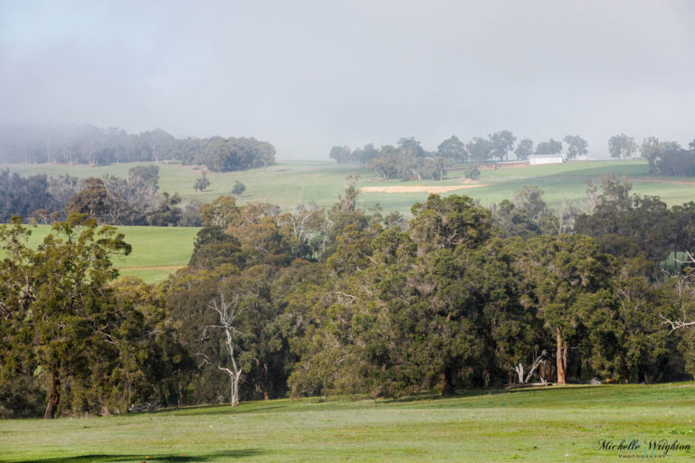 Rain over the farm