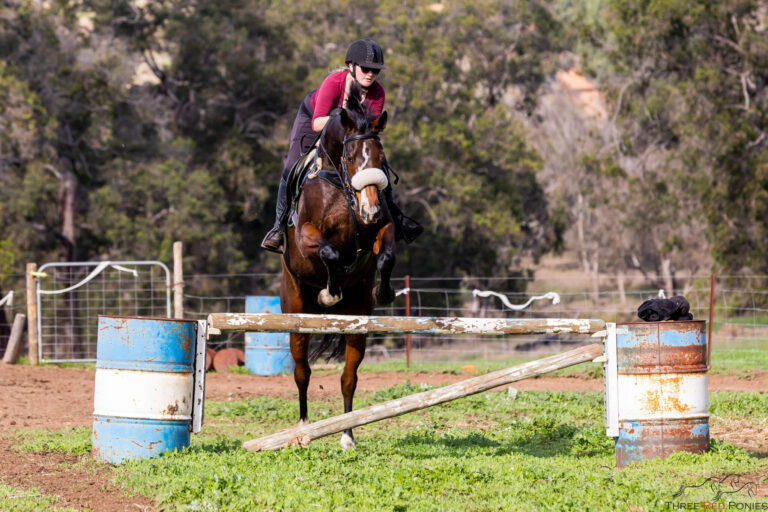 Miss B riding Shiloh