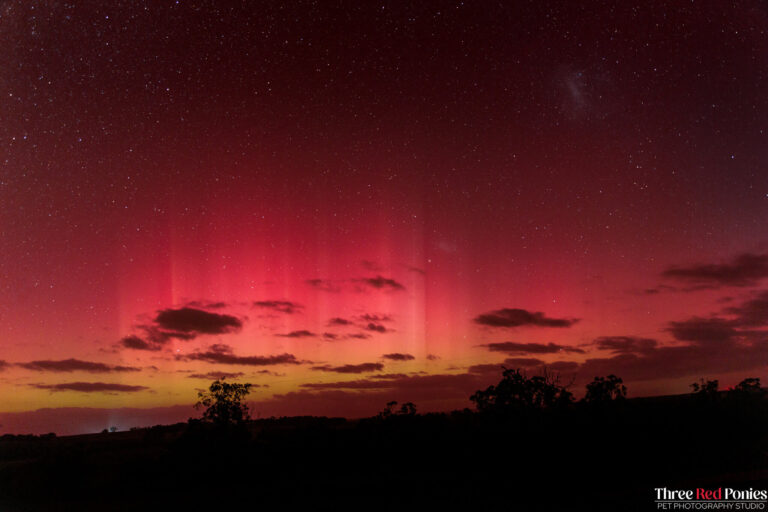 Aurora Australis Southern Lights May 2024