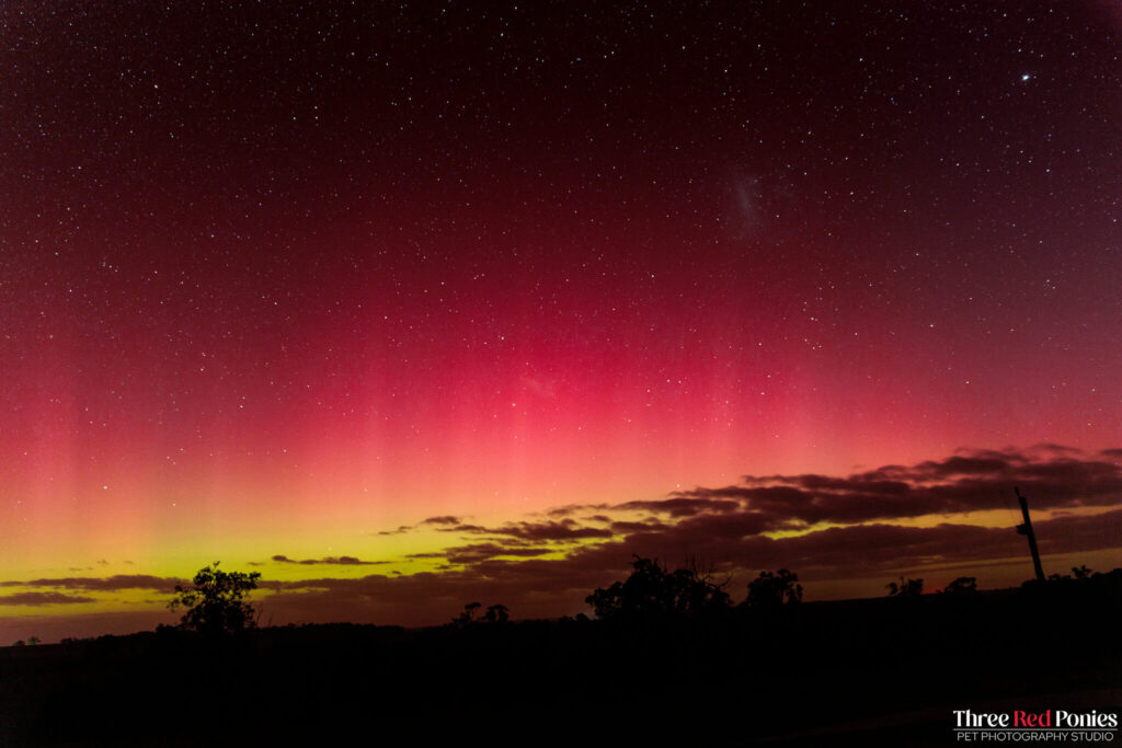 Aurora Australis Southern Lights May 2024