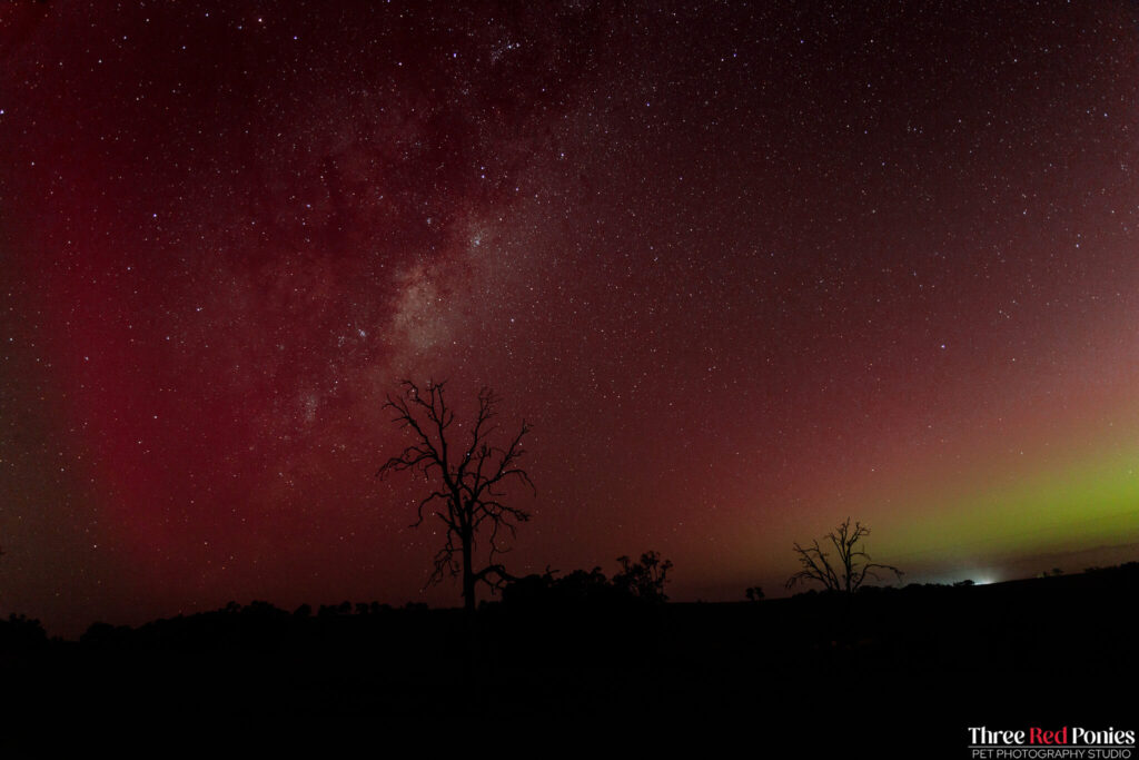 Aurora Australis Southern Lights May 2024