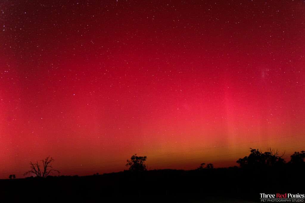 Aurora Australis Southern Lights May 2024