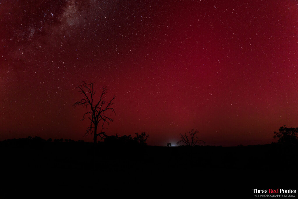 Aurora Australis Southern Lights May 2024